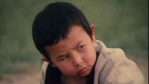 Шок и Шер Bild 1