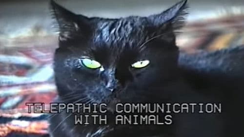 Telepathic Communication with Animals Bild 1