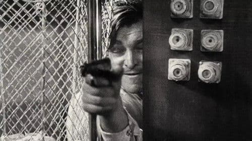 F.P.1 antwortet nicht Bild 6