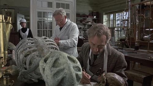 Nachts, wenn das Skelett erwacht Bild 4