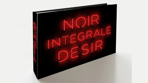 Noir Désir: Intégrale Bild 1