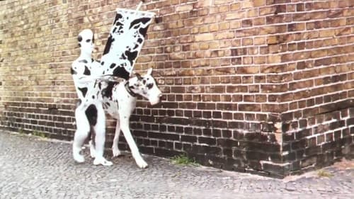 Freak Orlando Bild 4