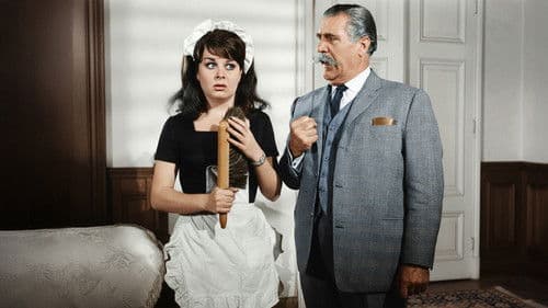 Hizmetçi Dediğin Böyle Olur Bild 1