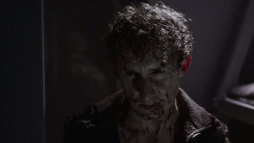 The ARK - Wir sind nicht allein Bild 2