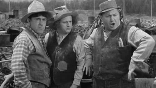 Cash and Carry Bild 1