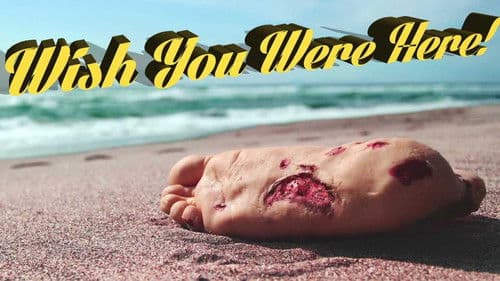 Survivor Type Bild 1