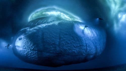 Antarktis - Die Reise der Pinguine Bild 8