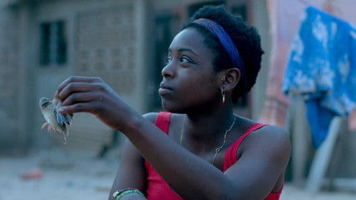 Le Voyage de Talia Bild 1