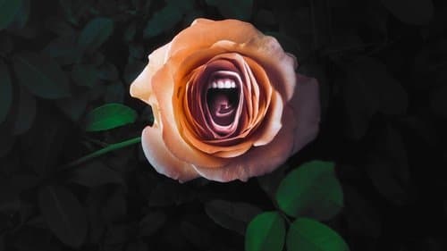 ROAR – Frauen, die ihre Stimme erheben Bild 1