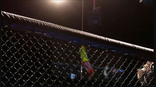 KSW za kulisami Bild 1