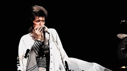 Ziggy Stardust and the Spiders from Mars Bild 5