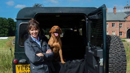 Bad Dog Academy Bild 4