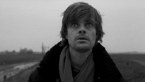 Die Werckmeisterschen Harmonien Bild 2