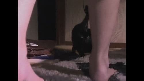 Ju-on: The Curse Bild 8