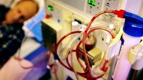 What The Health: Wie Konzerne uns krank machen und warum niemand was dagegen unternimmt Bild 1