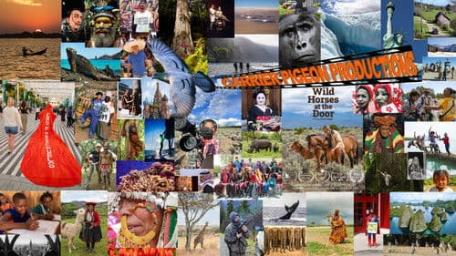 Wild Horses at the Door Bild 2