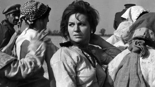 Blut der Leidenschaft Bild 2