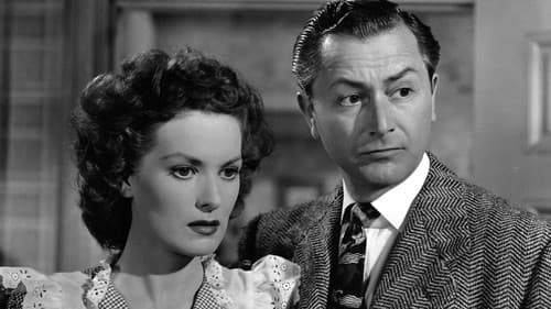 Belvedere räumt auf Bild 3