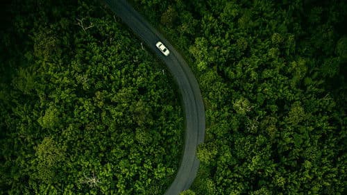 Hillbilly-Elegie Bild 7