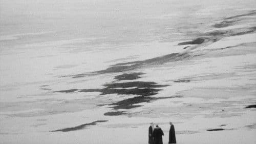 El cant dels ocells Bild 7