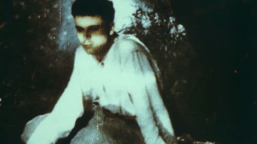 Майская ночь Bild 5