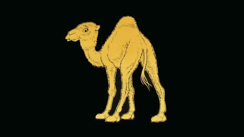 Nägel mit Köpfen Bild 1