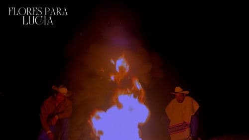 Flores para lucia Bild 4