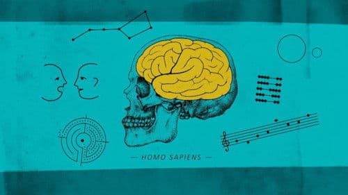 Human By Chance? Bild 1