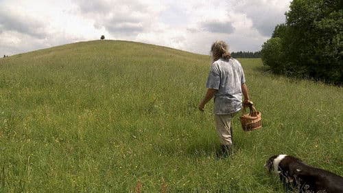 Auf der Suche nach Heilern Bild 1