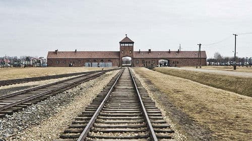 Auschwitz Projekt Bild 1