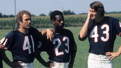 Freunde bis in den Tod Bild 5