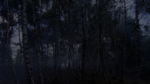 Torso - Die Säge des Teufels Bild 5