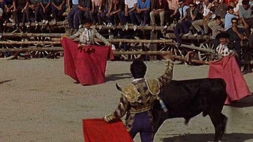 Augenblick der Wahrheit Bild 2