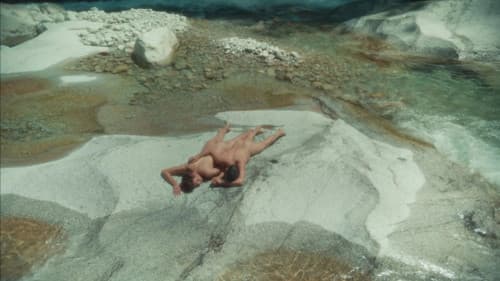 En meute ou solitaire Bild 1