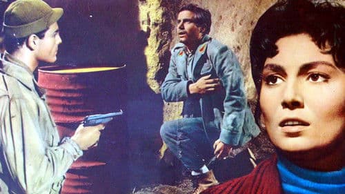 90 Nächte und ein Tag Bild 1