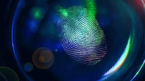 Cold Case Forensics Bild 1