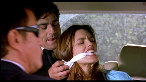 Body Guards - Guardie del corpo Bild 5