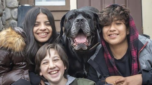 Dog Patrol: Operation Santa Paws Bild 1