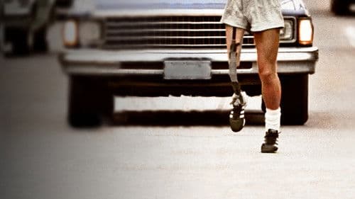 Into the Wind Bild 2