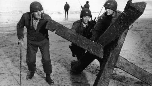 Der längste Tag Bild 4