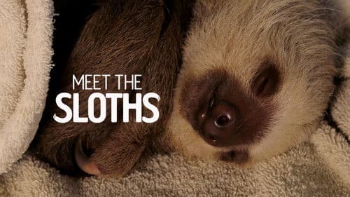 Meet the Sloths Bild 1
