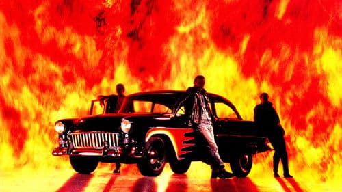 Manchmal kommen sie wieder Bild 3