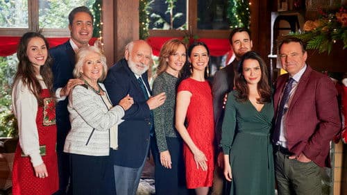 Zurück zu den Weihnachtssternen Bild 5