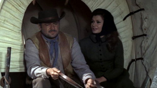 Die 7 aus Texas Bild 7