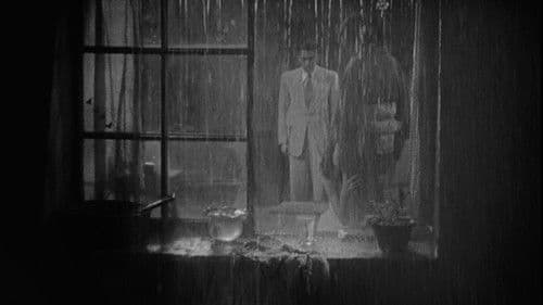 Ein streunender Hund Bild 6