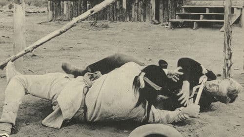 Fort Courageous Bild 1