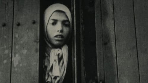 Nacht und Nebel Bild 1