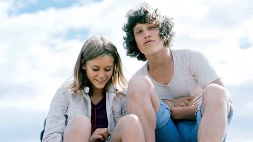 Habichte und Falken Bild 1