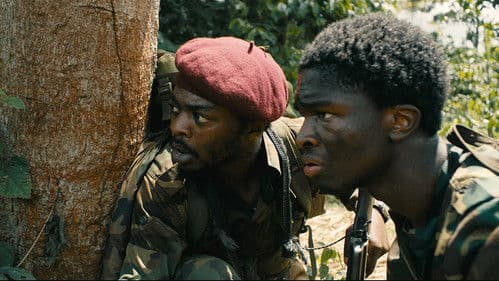 La Miséricorde de la jungle Bild 2