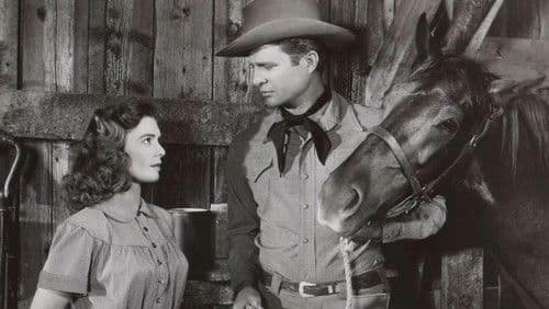 Red Stallion In The Rockies Bild 1